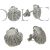 Camino Scallop shell earrings
