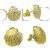 Camino Scallop shell earrings