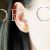 Camino Scallop Shell gold earrings