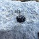 Charm Black turmaline Scallop Shell