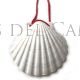 Authentique Coquille Saint-Jacques Galice