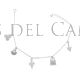 Pulsera Plata Charms Dije Simbolos Xacobeos