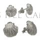 Camino Scallop shell earrings