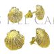 Camino Scallop shell earrings