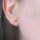 Shell earrings Camino Santiago Compostela 18k gold zircons