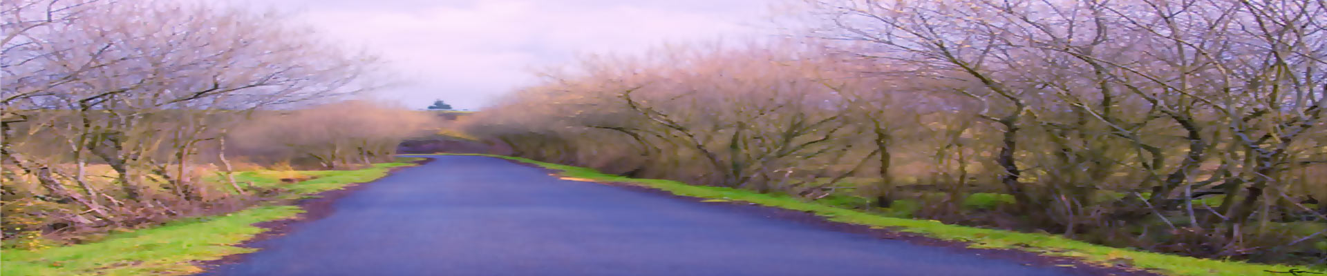 Camino de Santiago de Compostela